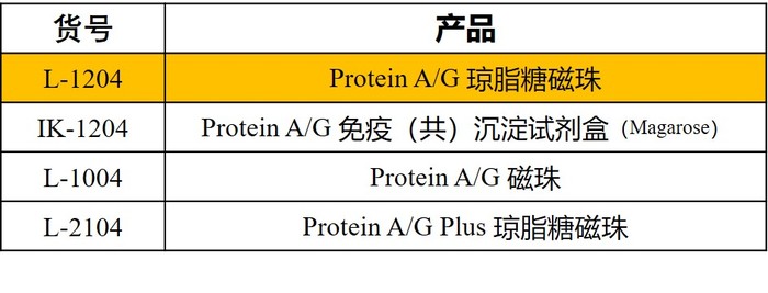 圖片5.jpg