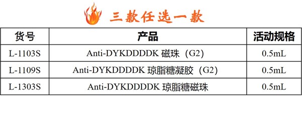 圖片5.jpg