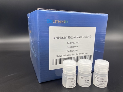 NK-1002 基础mRNA纯化试剂盒