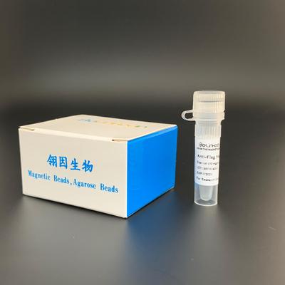 L-1011 Anti-DYKDDDDK磁珠（原Flag磁珠）