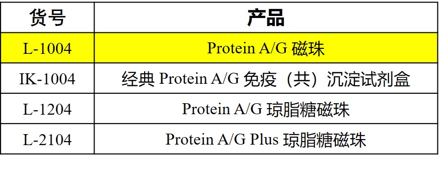 圖片3.jpg