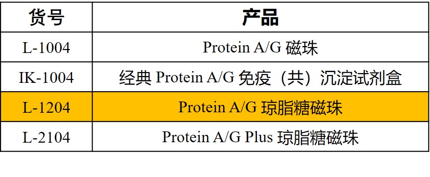 圖片5.jpg
