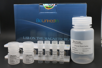IK-1001 Protein A免疫（共）沉淀试剂盒
