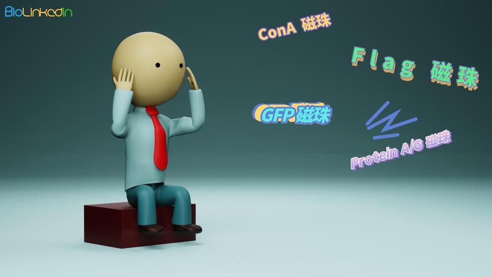 未命名__2023-05-19+20_20_53.jpeg