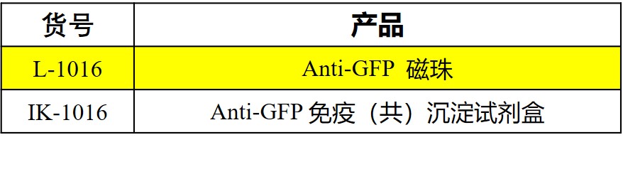 圖片2.jpg
