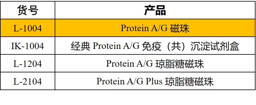 圖片6.jpg