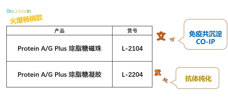 圖片4.jpg