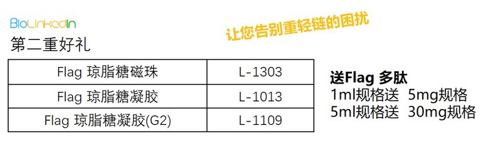 圖片2.jpg