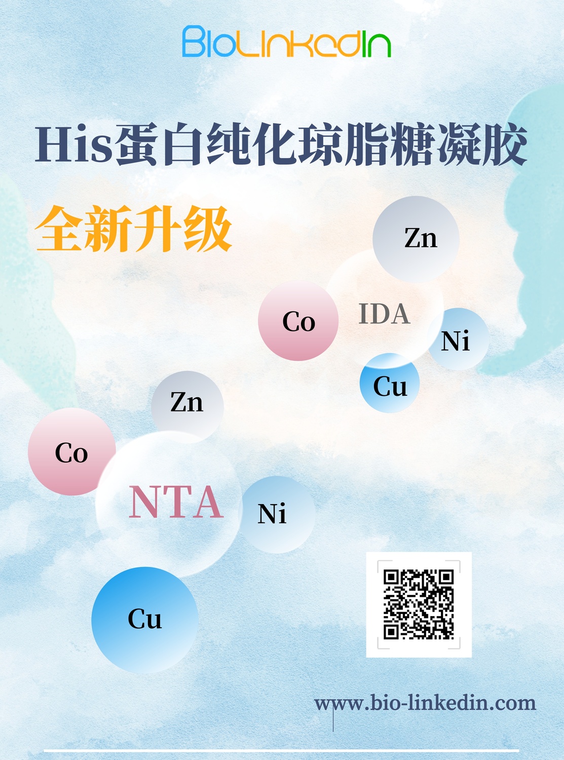 NTA IDA (1).jpg