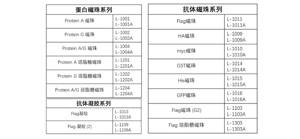 簡約風端午節主題文章標題__2023-05-17+14_19_25.png