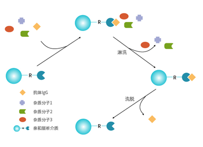 蛋白纯化篇—金属螯合亲和技术:ida & nta,ni2  & co2